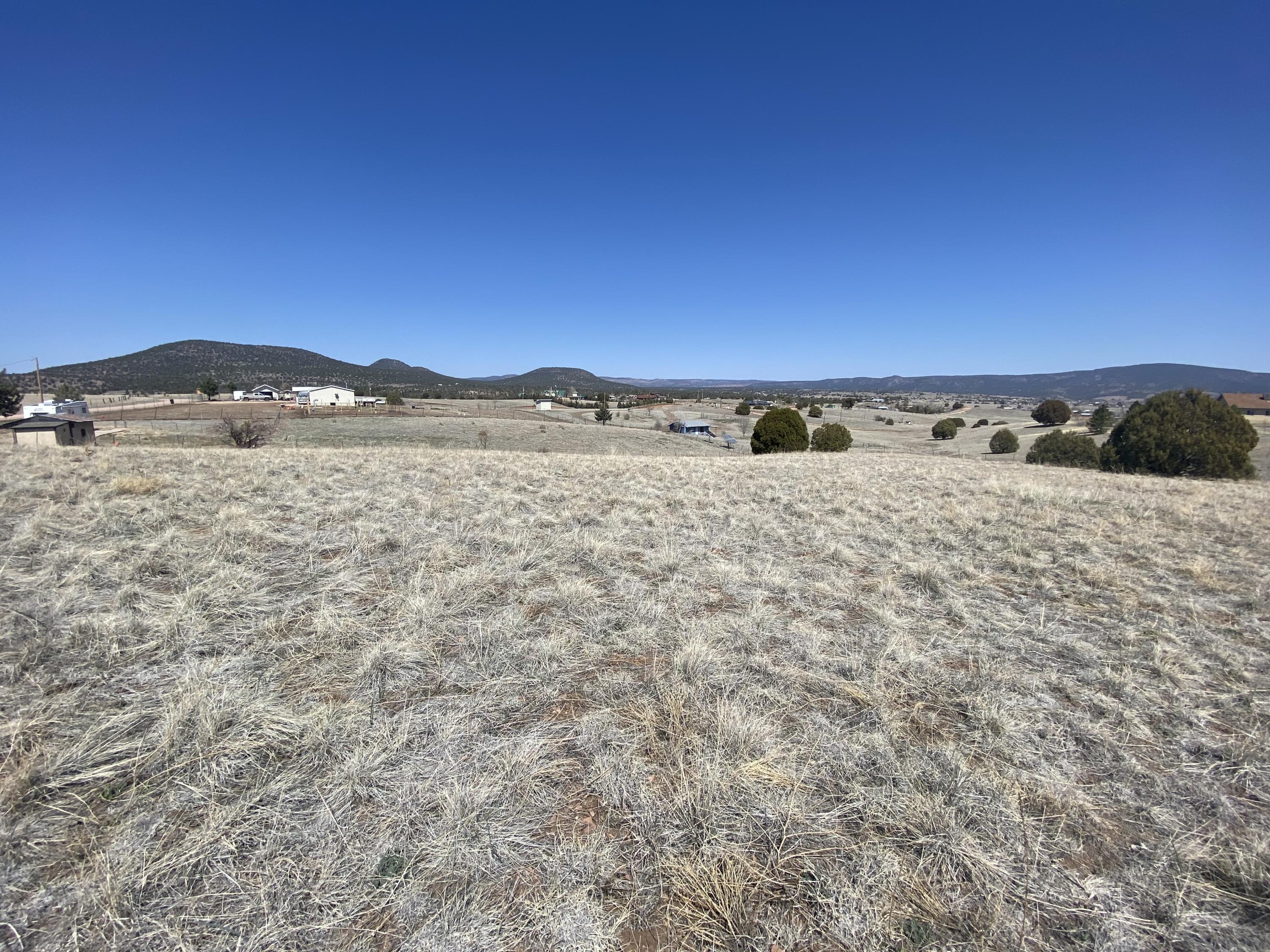 0 Rolling Hills Road Young, AZ 85554 - Photo 17 of 21