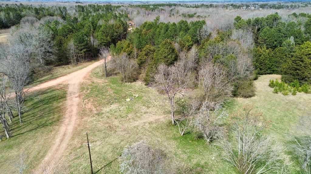 0 Metric Road Laurens, SC 29360 - Photo 4 of 4 Gallery Image 4