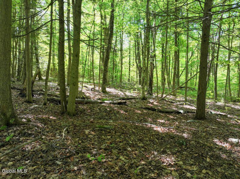 L2 Liddle Harris Road Putnam Station, NY 12861 - Photo 11 of 12 Interior Woodland