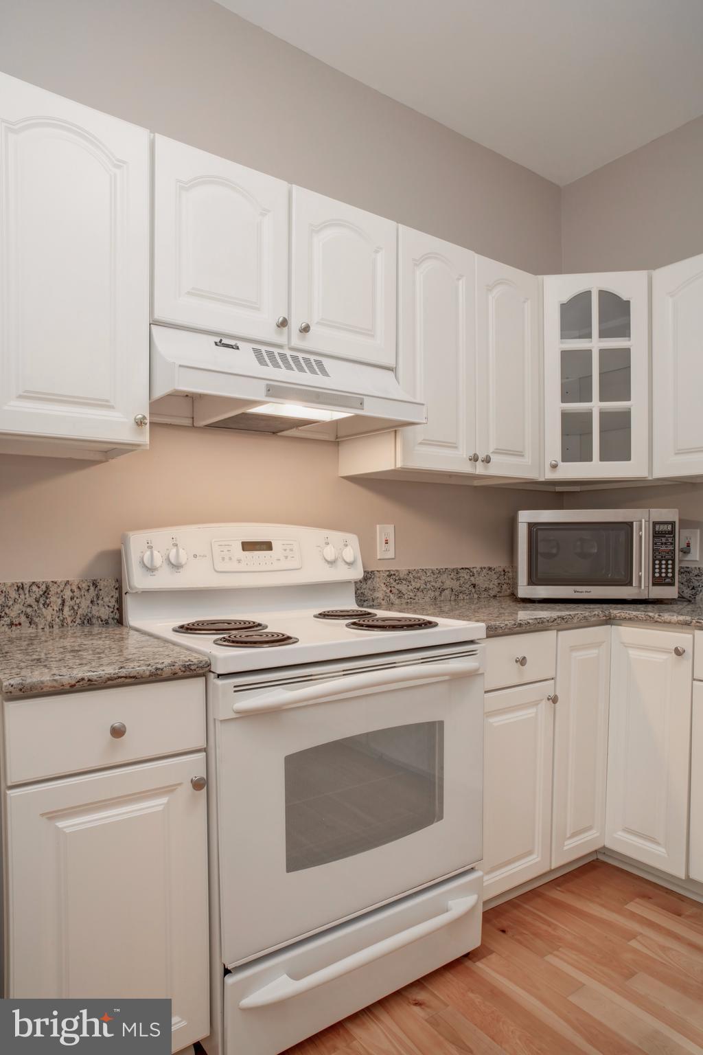 11616 Ivystone Court, Unit 301 Reston, VA 20191 - Photo 3 of 29 a kitchen with granite countertop white cabinets and white appliances