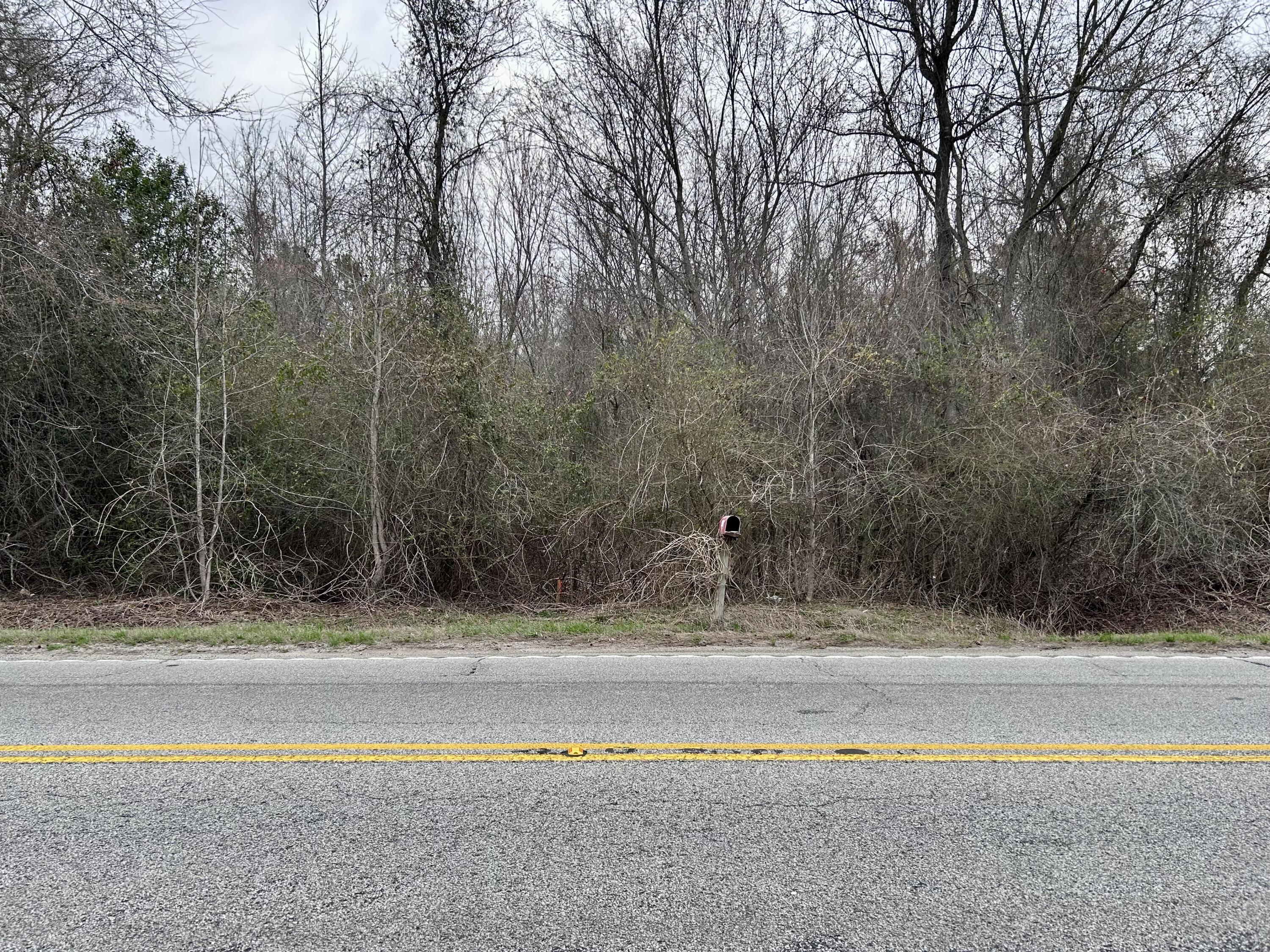 0 Camden Highway Rembert, SC 29128 - Photo 1 of 6