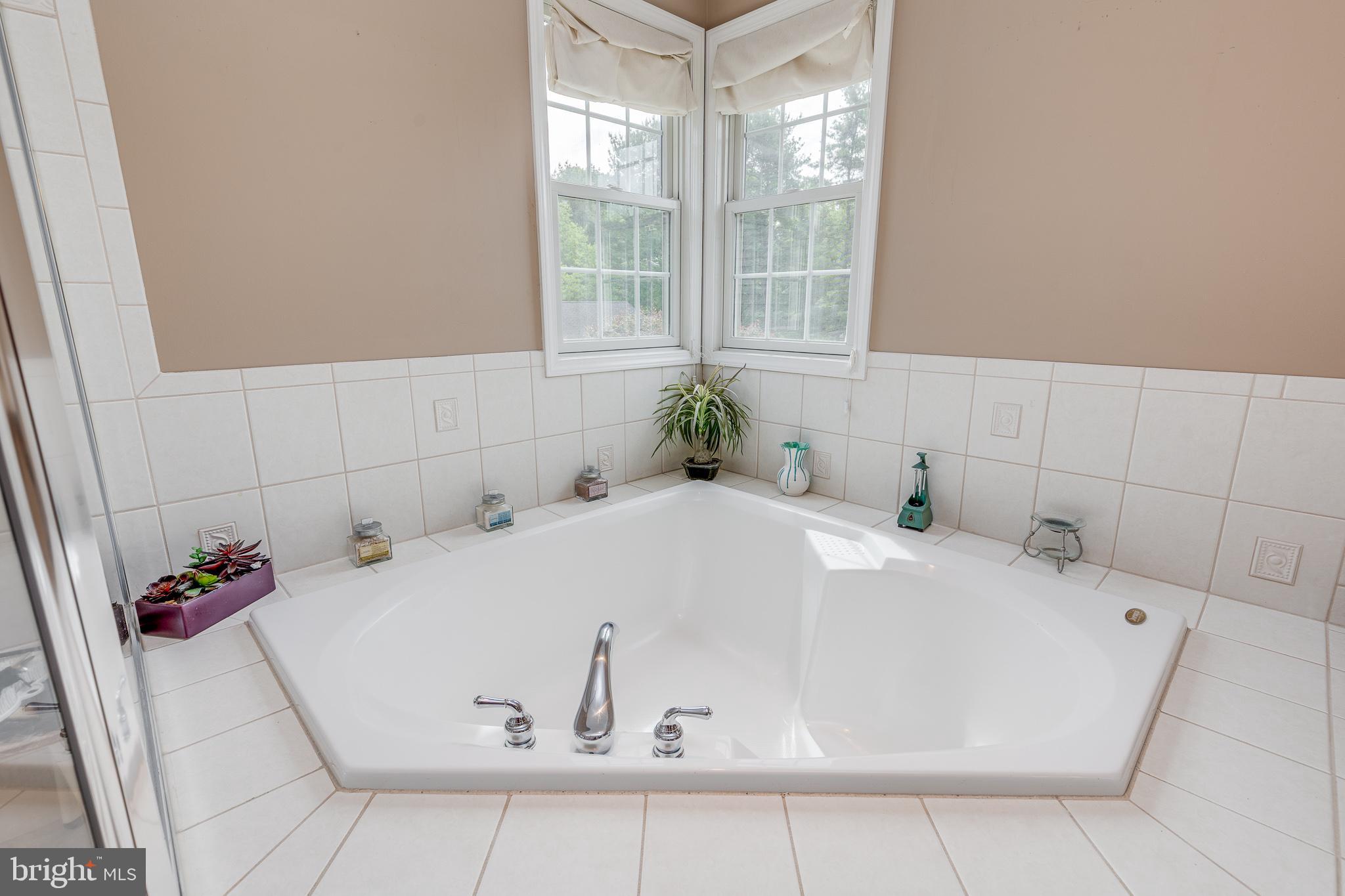 2 Dellaira Court Wrightstown, NJ 08562 - Photo 40 of 93 a bath tub sitting in a bathroom next to a window