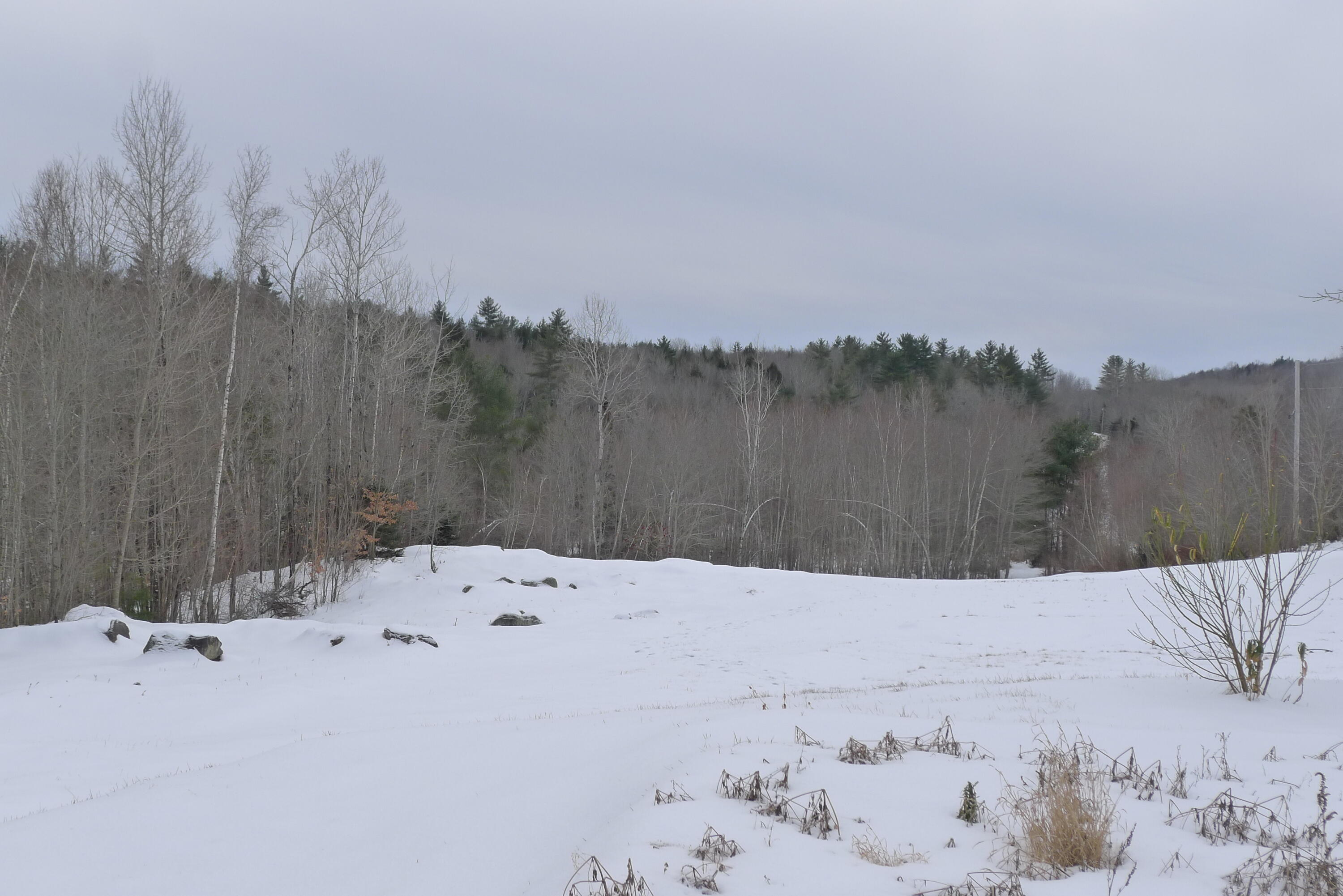 200 Smith Road Chesterville, ME 04938 - Photo 29 of 38 Land! They don't make it anymore