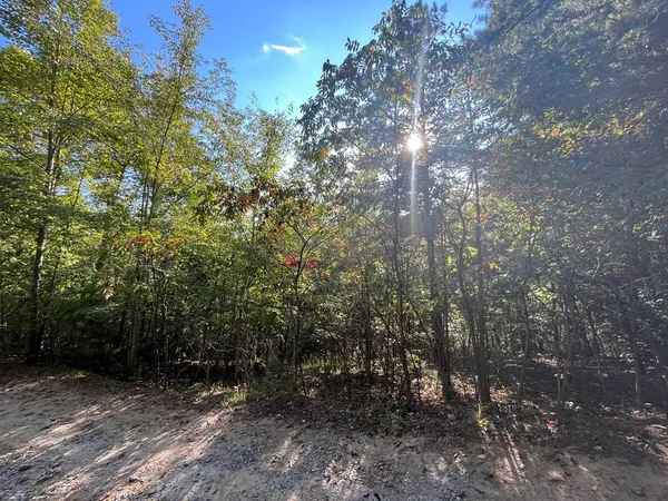 $15,000 | Tbd Posey Place, Murphy, NC 28906