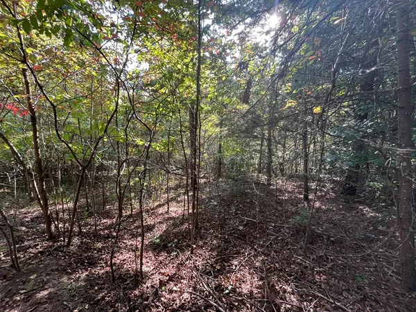 $15,000 | Tbd Posey Place, Murphy, NC 28906