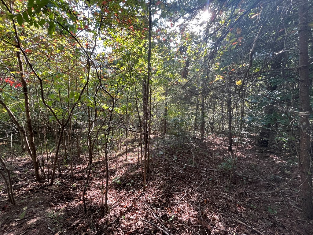 Tbd Posey Place Murphy, NC 28906 - Photo 2 of 6