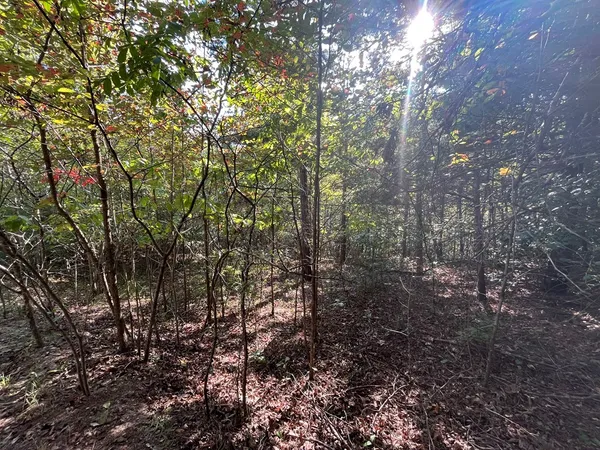 $15,000 | Tbd Posey Place, Murphy, NC 28906