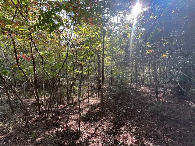 $15,000 | Tbd Posey Place, Murphy, NC 28906