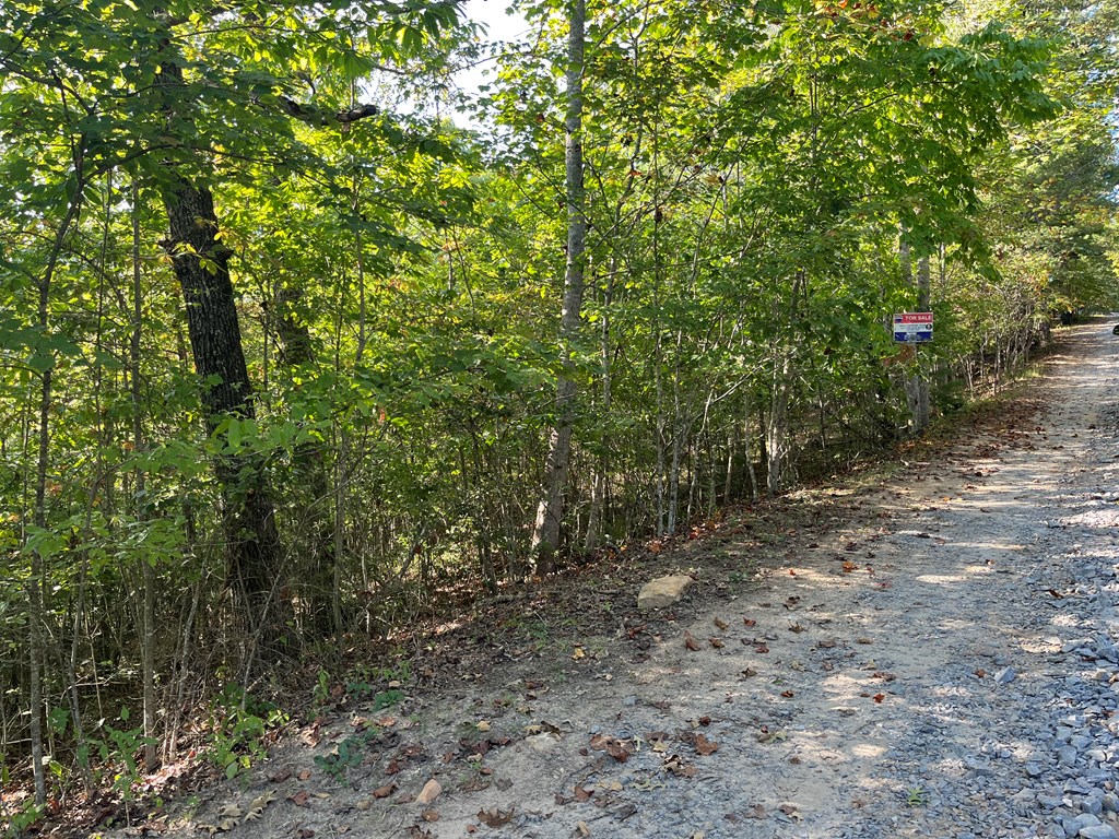 Tbd Posey Place Murphy, NC 28906 - Photo 5 of 6