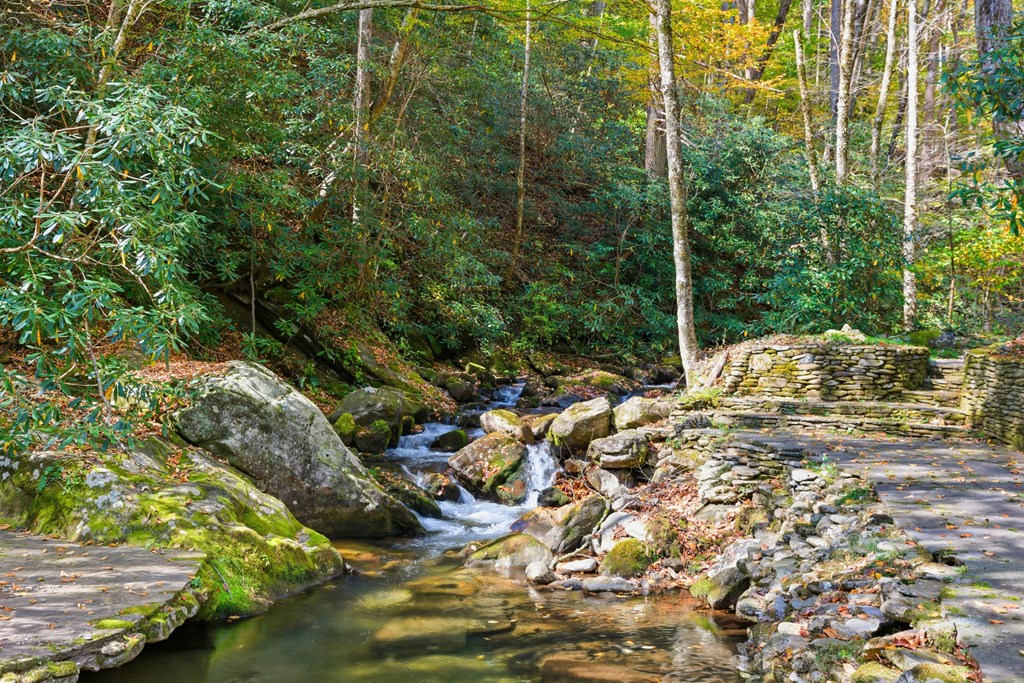 2965 Tate City Road Hayesville, NC 28904 - Photo 2 of 39