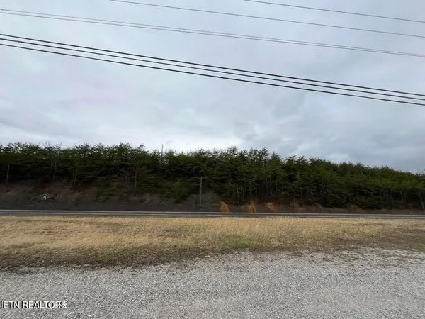 $250,000 | 0 Alberta Street, Oneida, TN 37841