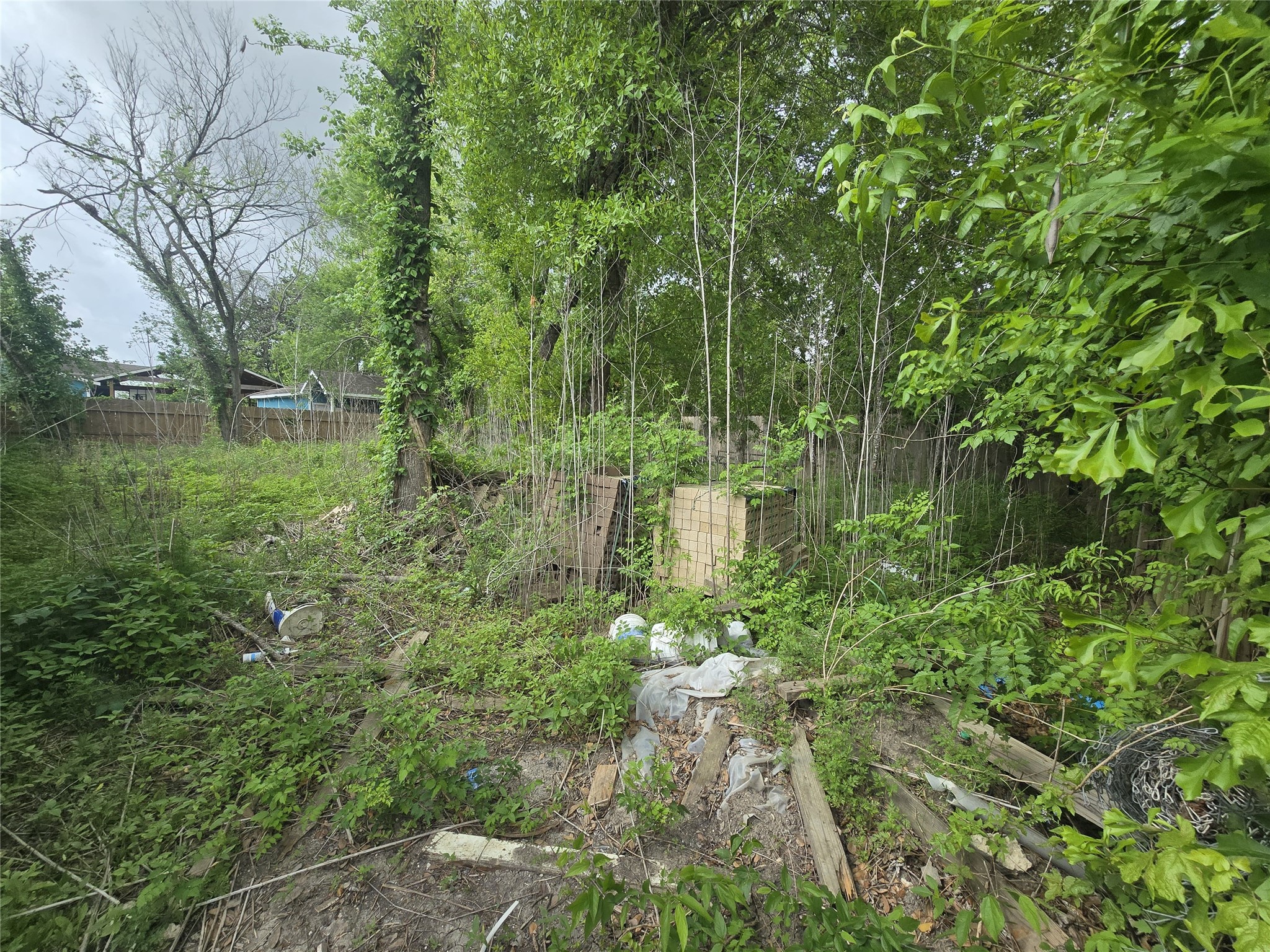 8930 Hollock Street Houston, TX 77075 - Photo 3 of 5 a lush green forest with lots of trees