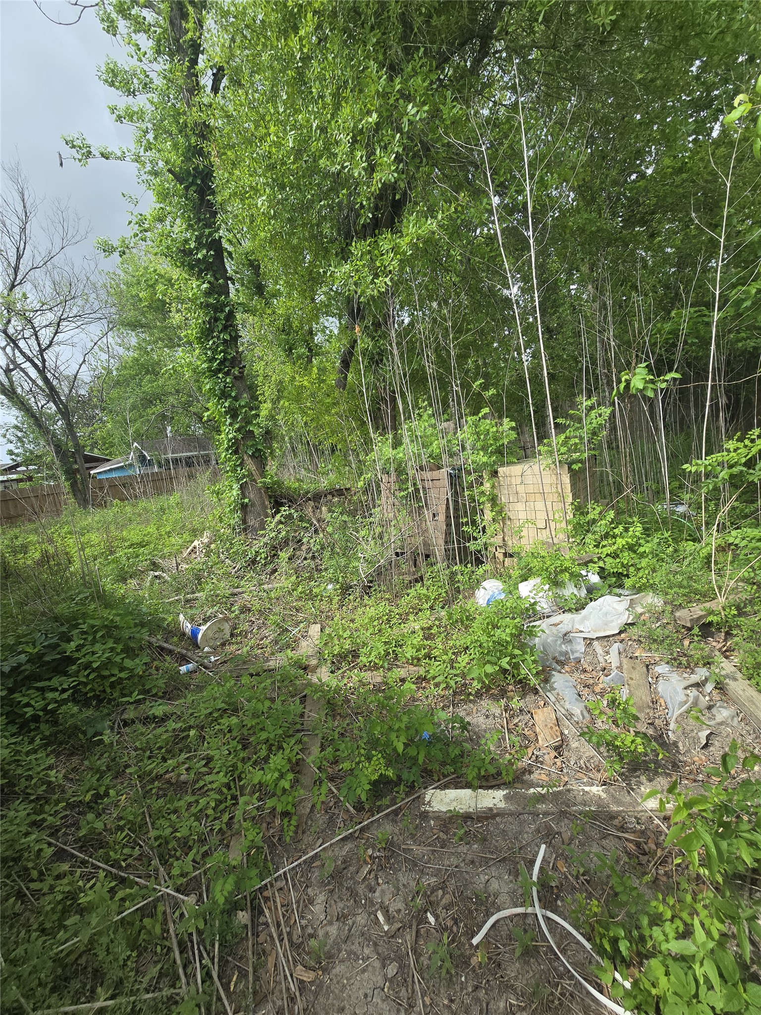 8930 Hollock Street Houston, TX 77075 - Photo 4 of 5 a view of backyard with green space