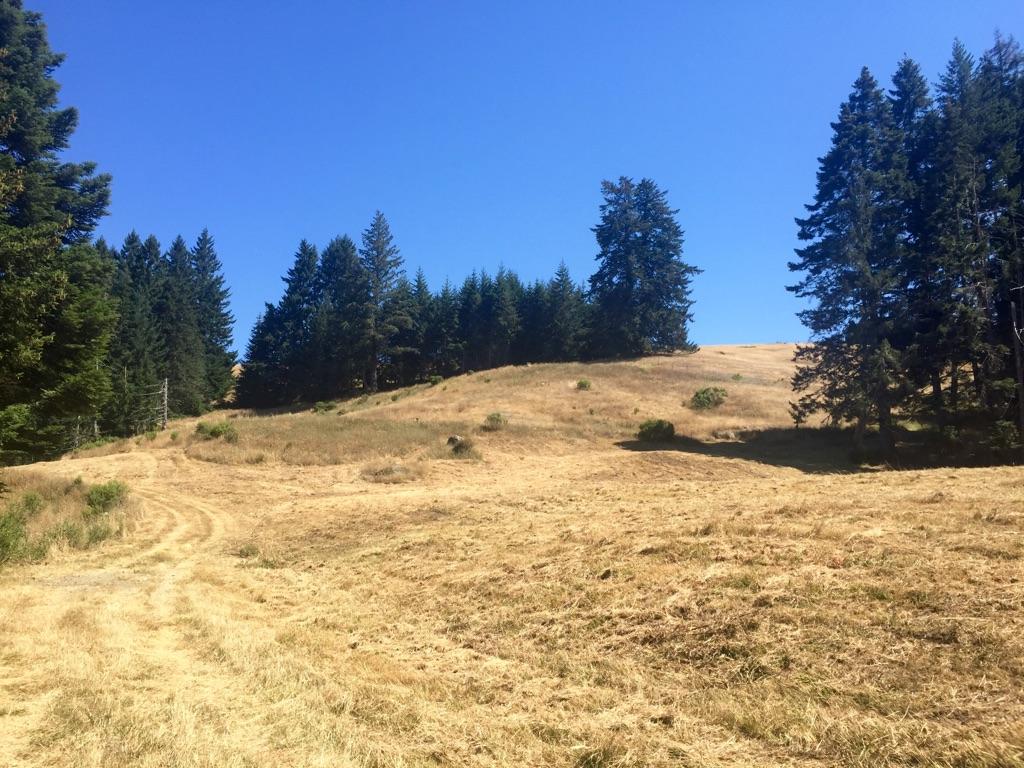 40-acres Liscom Hill Road Eureka, CA 95503 - Photo 2 of 8