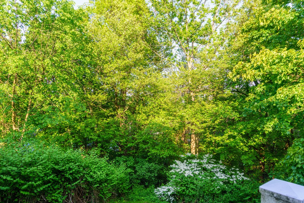 37 Brox Road Dracut, MA 01826 - Photo 27 of 27 Gallery Image 27