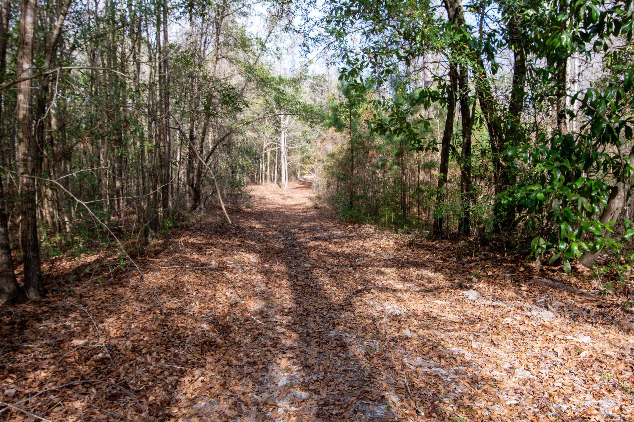636 Perkins Road Millen, GA 30442 - Photo 18 of 21 75
