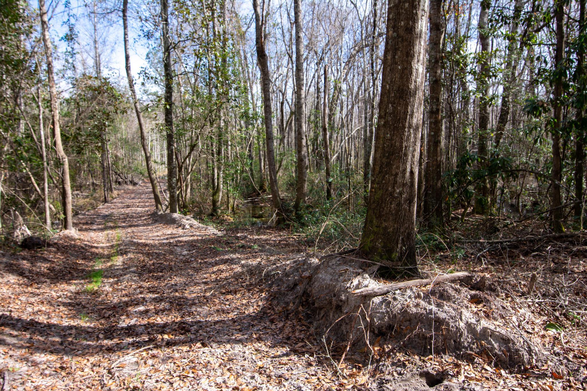 636 Perkins Road Millen, GA 30442 - Photo 19 of 21 76