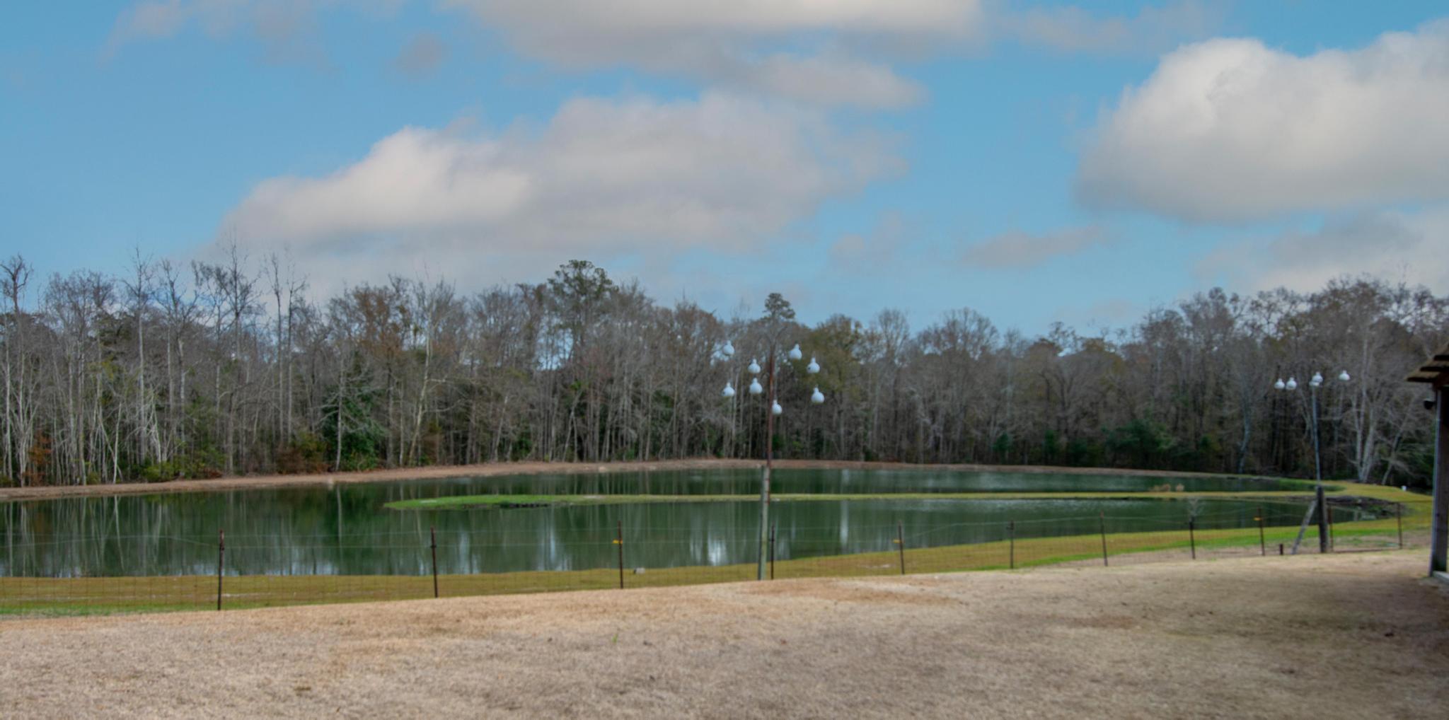 636 Perkins Road Millen, GA 30442 - Photo 7 of 21 28