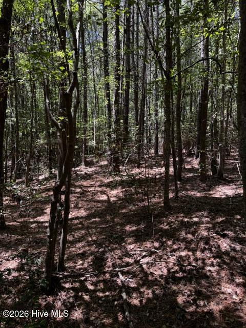 Lot 1 Dan Road Robbins, NC 27325 - Photo 17 of 20 16