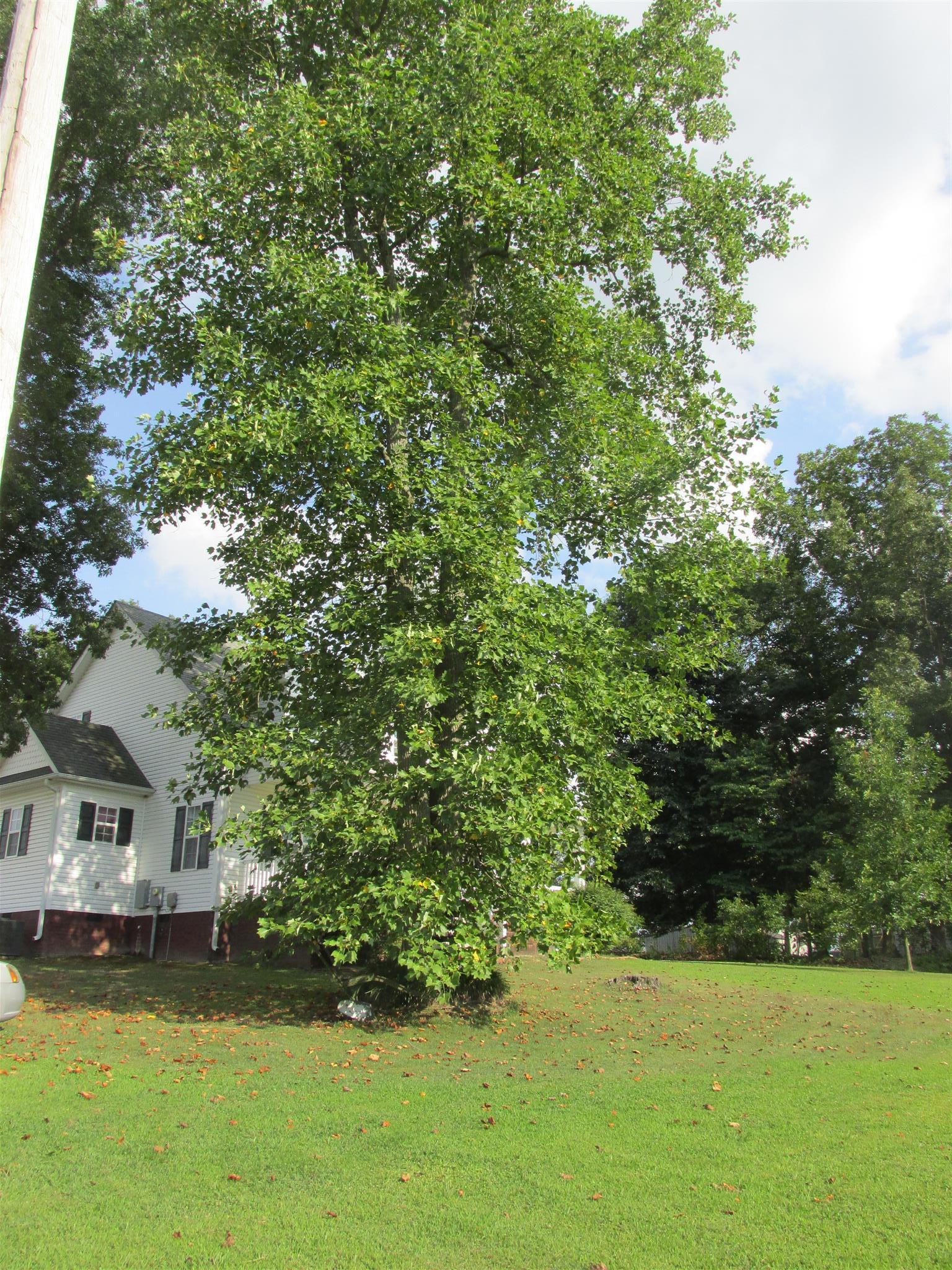244 Providence Road Westmoreland, TN 37186 - Photo 3 of 29 mature trees plenty of shade
