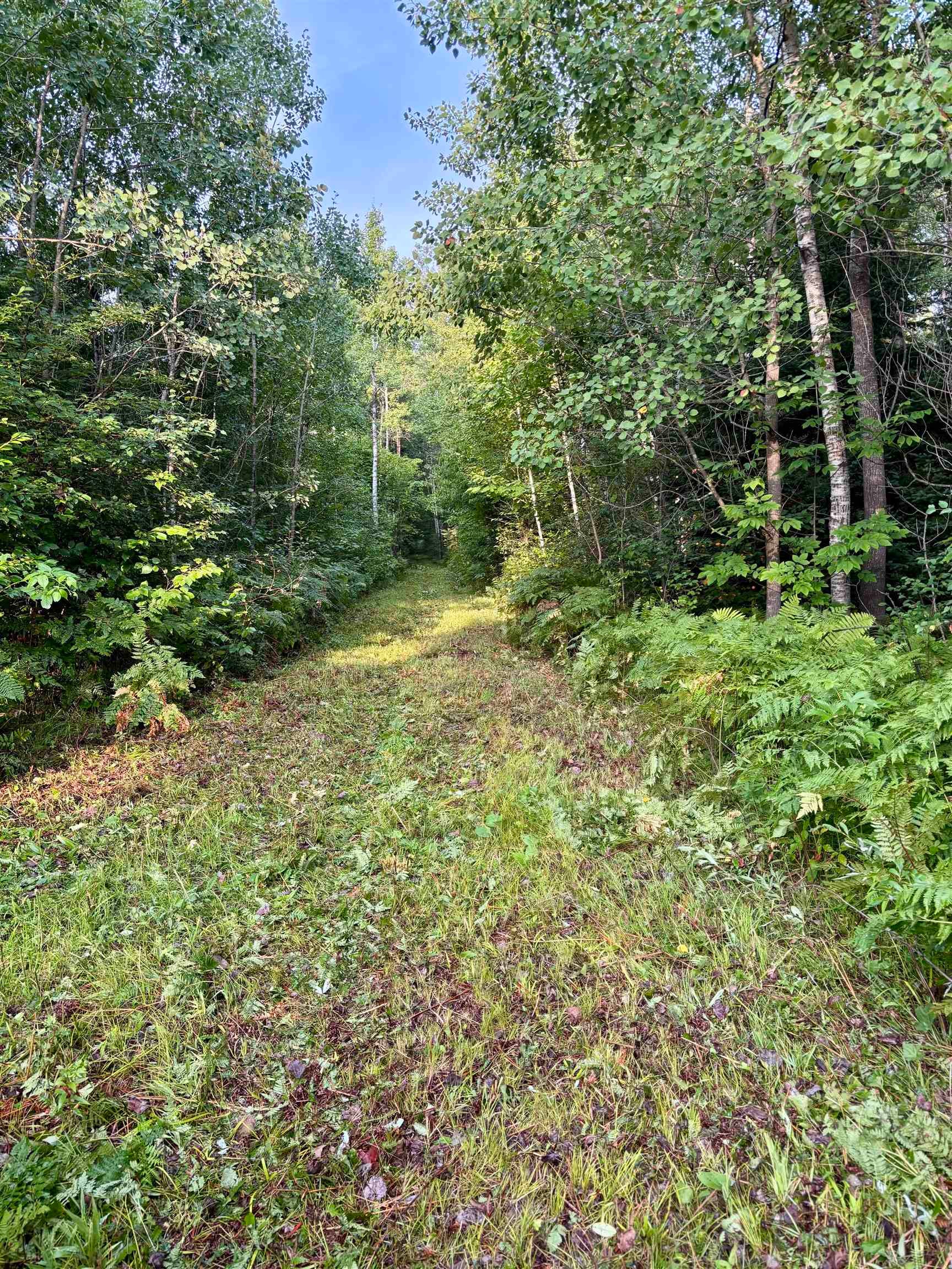 80-acres 80-acres Clausen Road Prentice, WI 54556 - Photo 14 of 17 Gallery Image 14