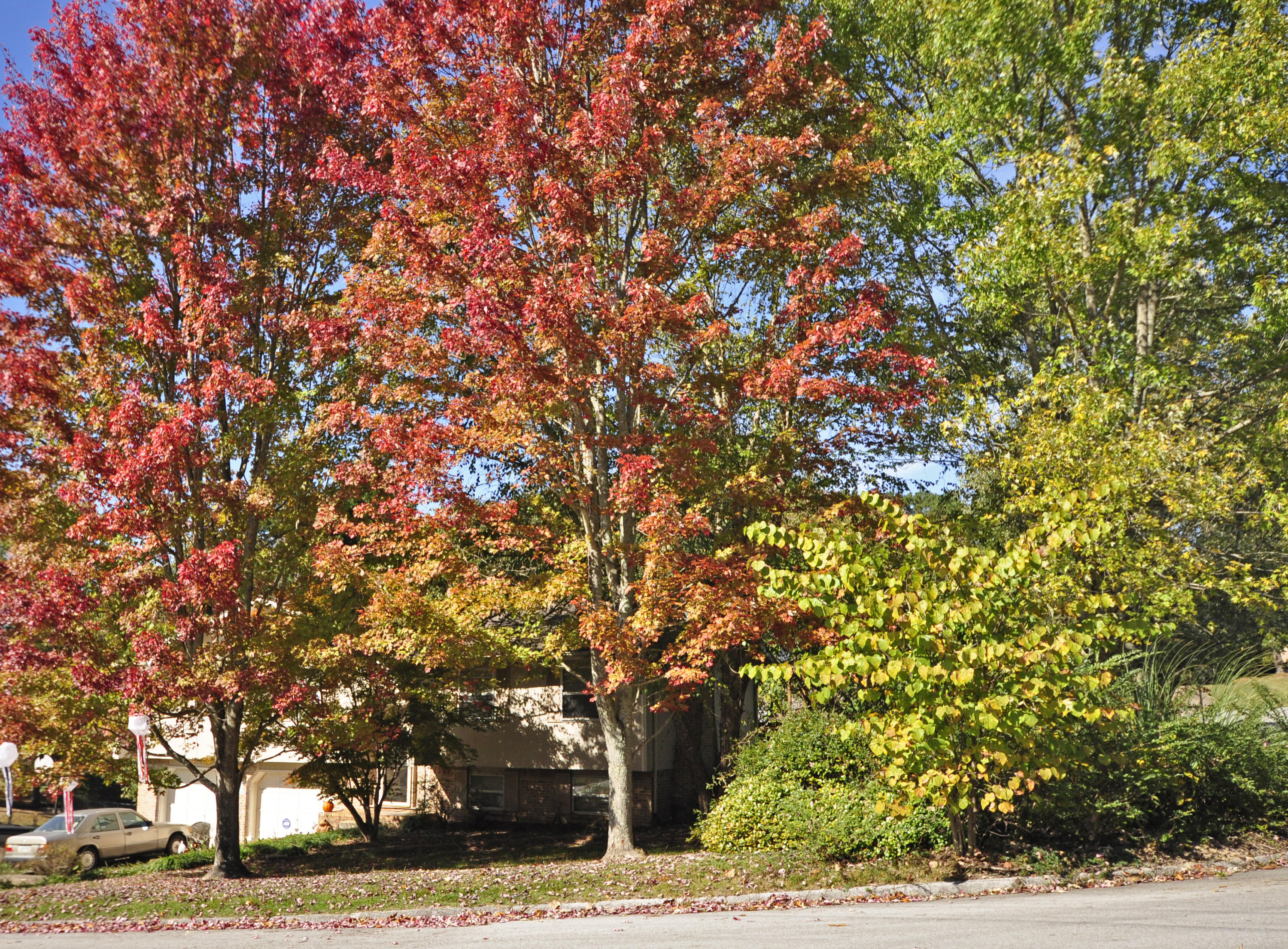 8271 Tiber Road Chattanooga, TN 37421 - Photo 1 of 30 _DSC1784