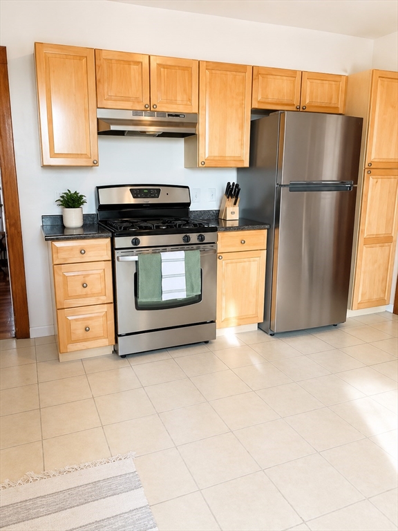 238 L Street, Unit 2 Boston, MA 02127 - Photo 7 of 15