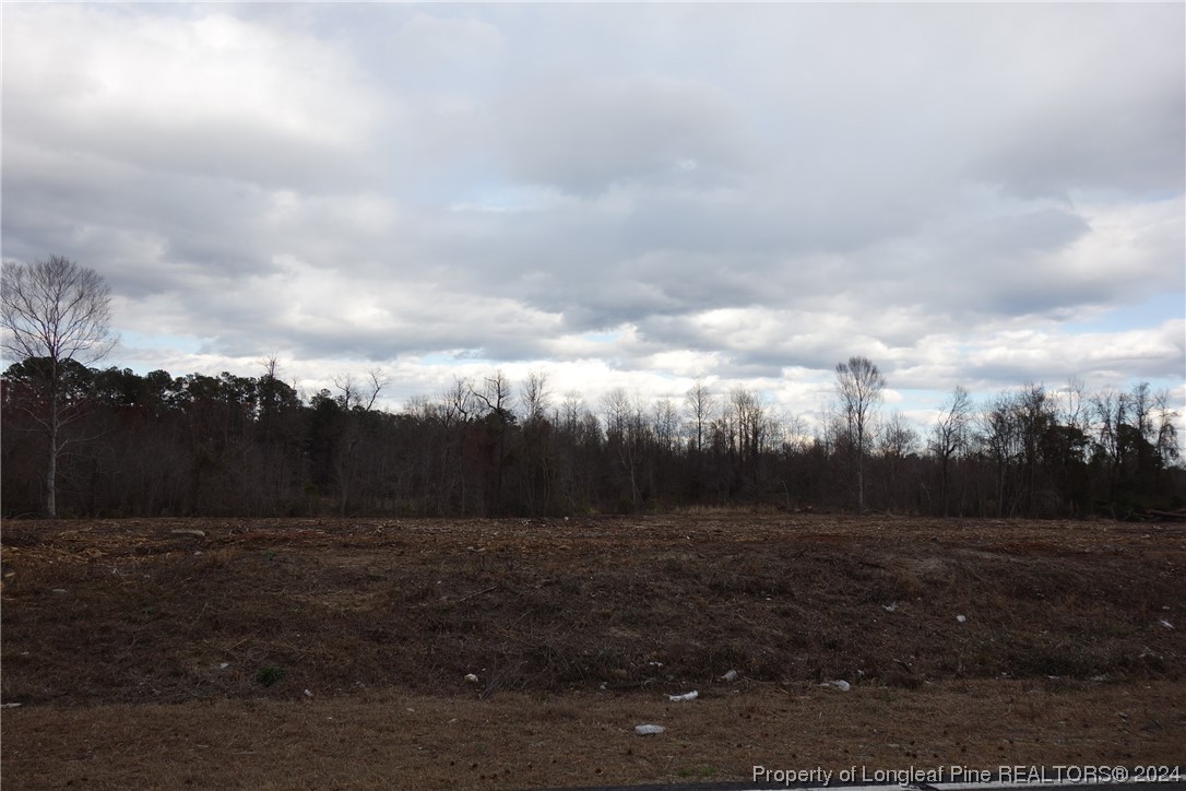 Lot 11 Odum Road Lumberton, NC 28360 - Photo 2 of 3
