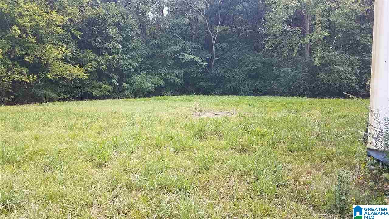 1973 Eastern Valley Road Bessemer, AL 35022 - Photo 4 of 6