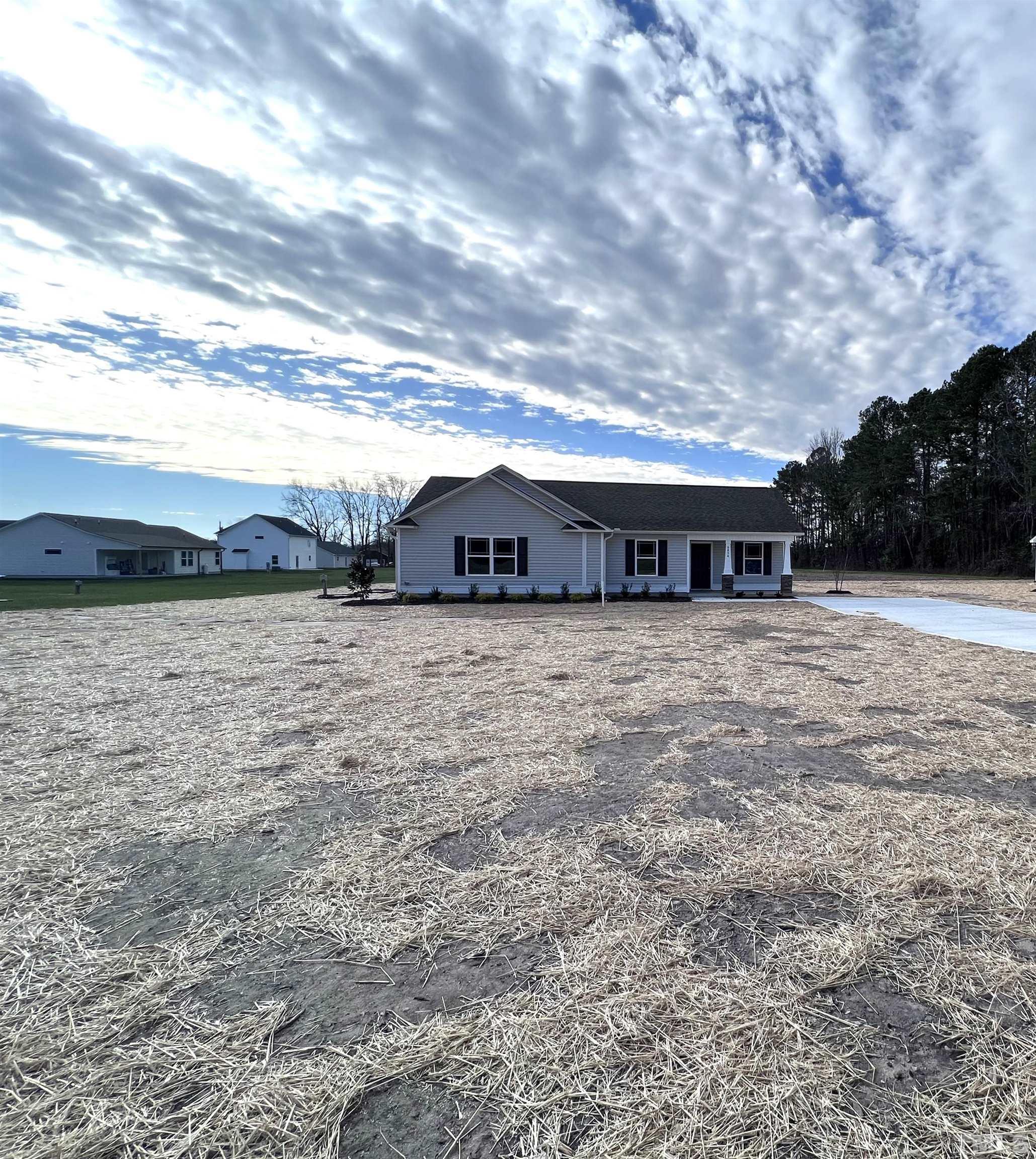 6854 Rains Crossroads Road Pikeville, NC 27863 - Photo 3 of 20 Gallery Image 3
