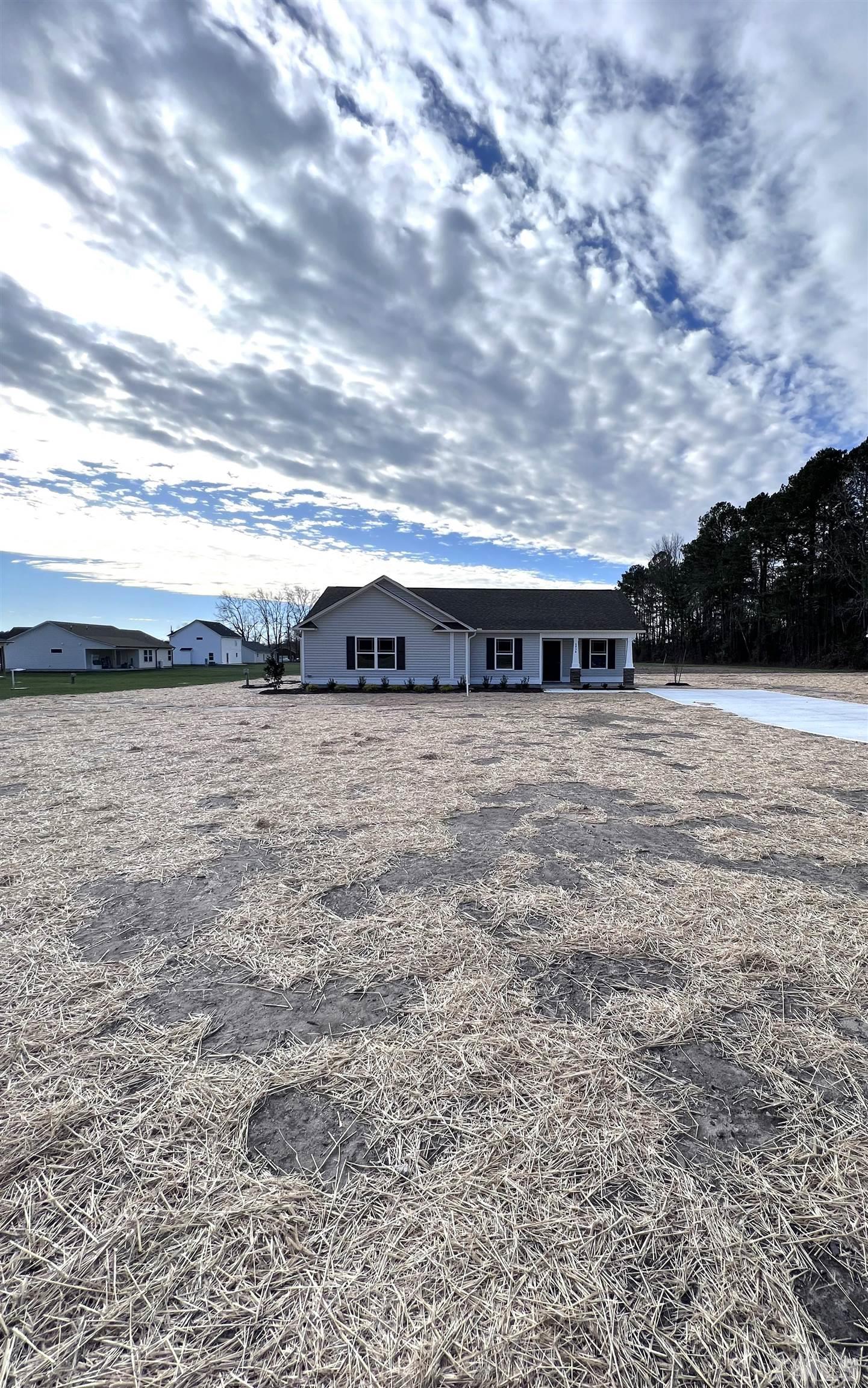6854 Rains Crossroads Road Pikeville, NC 27863 - Photo 4 of 20 Gallery Image 4