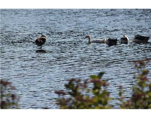 562 Post Road South Kingstown, RI 02879 - Photo 11 of 20 Other.