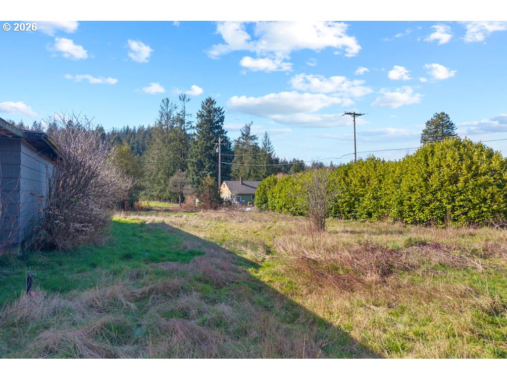 5235 Brickyard Road Tillamook, OR 97141 - Photo 14 of 14 a view of a dry yard with a tree