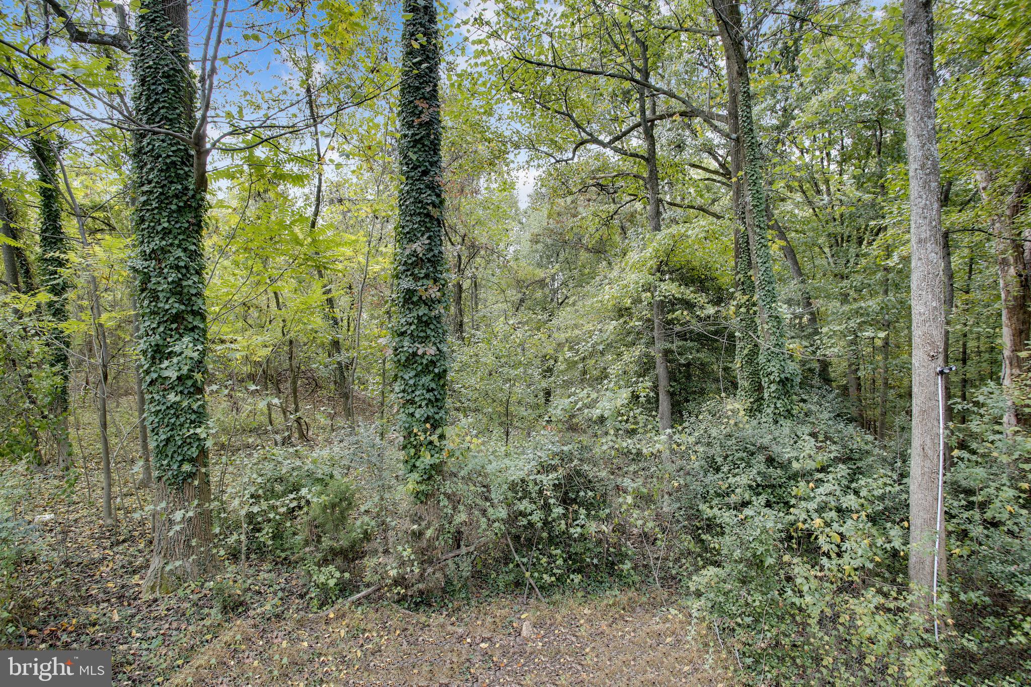2407 Ritchie Road District Heights, MD 20747 - Photo 65 of 69 Gallery Image 65
