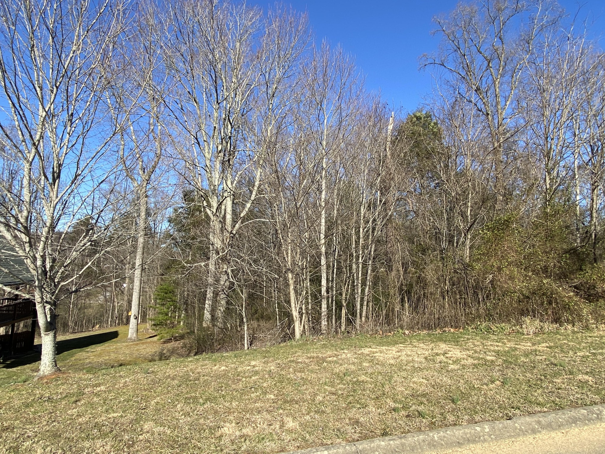 0 Thomas Headrick Road Sevierville, TN 37862 - Photo 5 of 5 Gallery Image 5