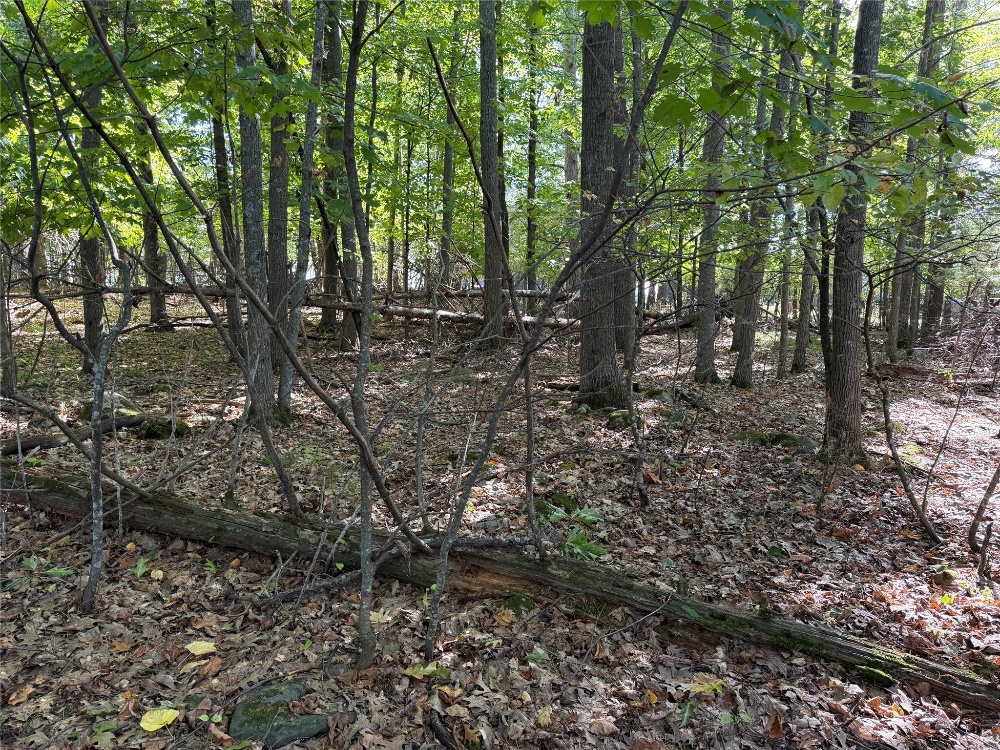 Xxx Rolph's Point Drive Shell Lake, WI 54871 - Photo 19 of 31 Gallery Image 19