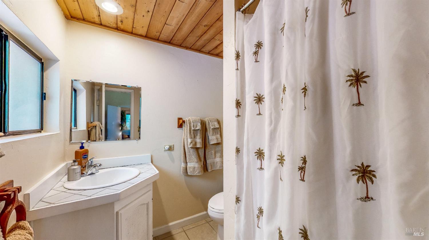 19598 Redwood Drive Monte Rio, CA 95462 - Photo 23 of 36