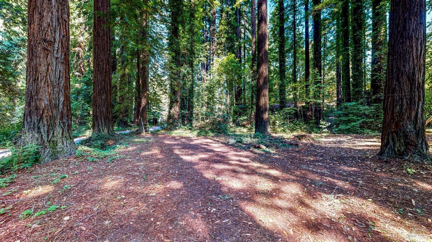 19598 Redwood Drive Monte Rio, CA 95462 - Photo 32 of 36 Adjacent lot included