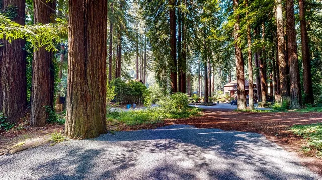 $849,000 | 19598 Redwood Drive, Monte Rio, CA 95462