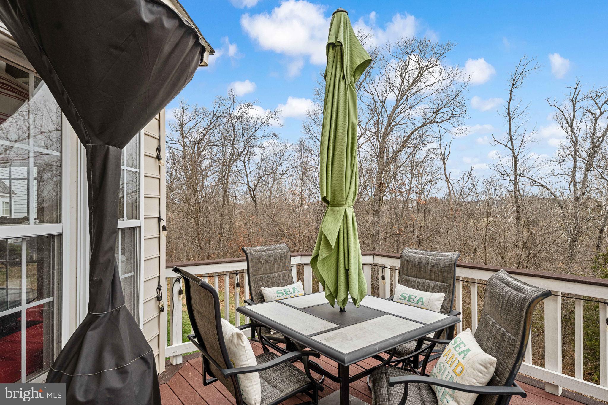 5505 Altenbury Loop Gainesville, VA 20155 - Photo 26 of 62