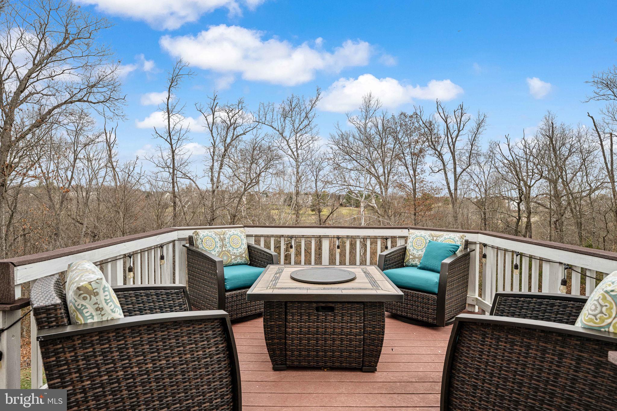 5505 Altenbury Loop Gainesville, VA 20155 - Photo 28 of 62