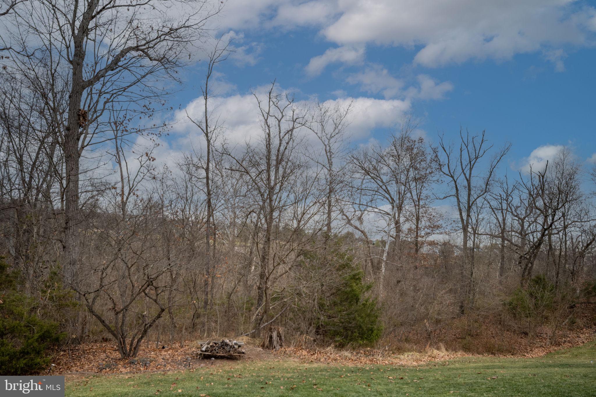5505 Altenbury Loop Gainesville, VA 20155 - Photo 52 of 62