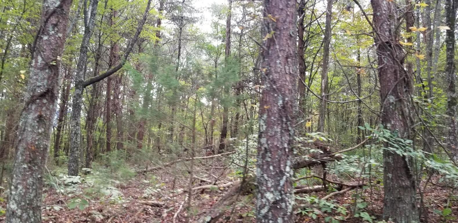 Lot 2 Earnest Stewart Road, Unit 2 Dunlap, TN 37327 - Photo 1 of 5 20181023165206846960000000-o
