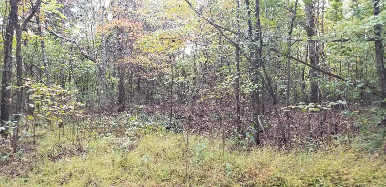 Lot 2 Earnest Stewart Road, Unit 2 Dunlap, TN 37327 - Photo 3 of 5 20181023165212952152000000-o