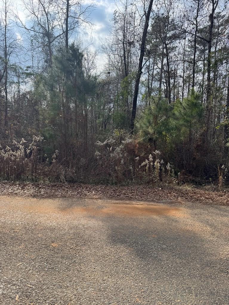 0 Singer Lane Abbeville, AL 36310 - Photo 2 of 5