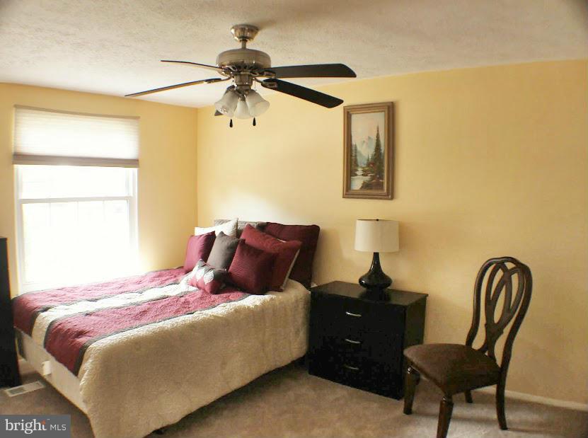 4523 Samuels Pine Road Chantilly, VA 20151 - Photo 4 of 20 Bedroom 1