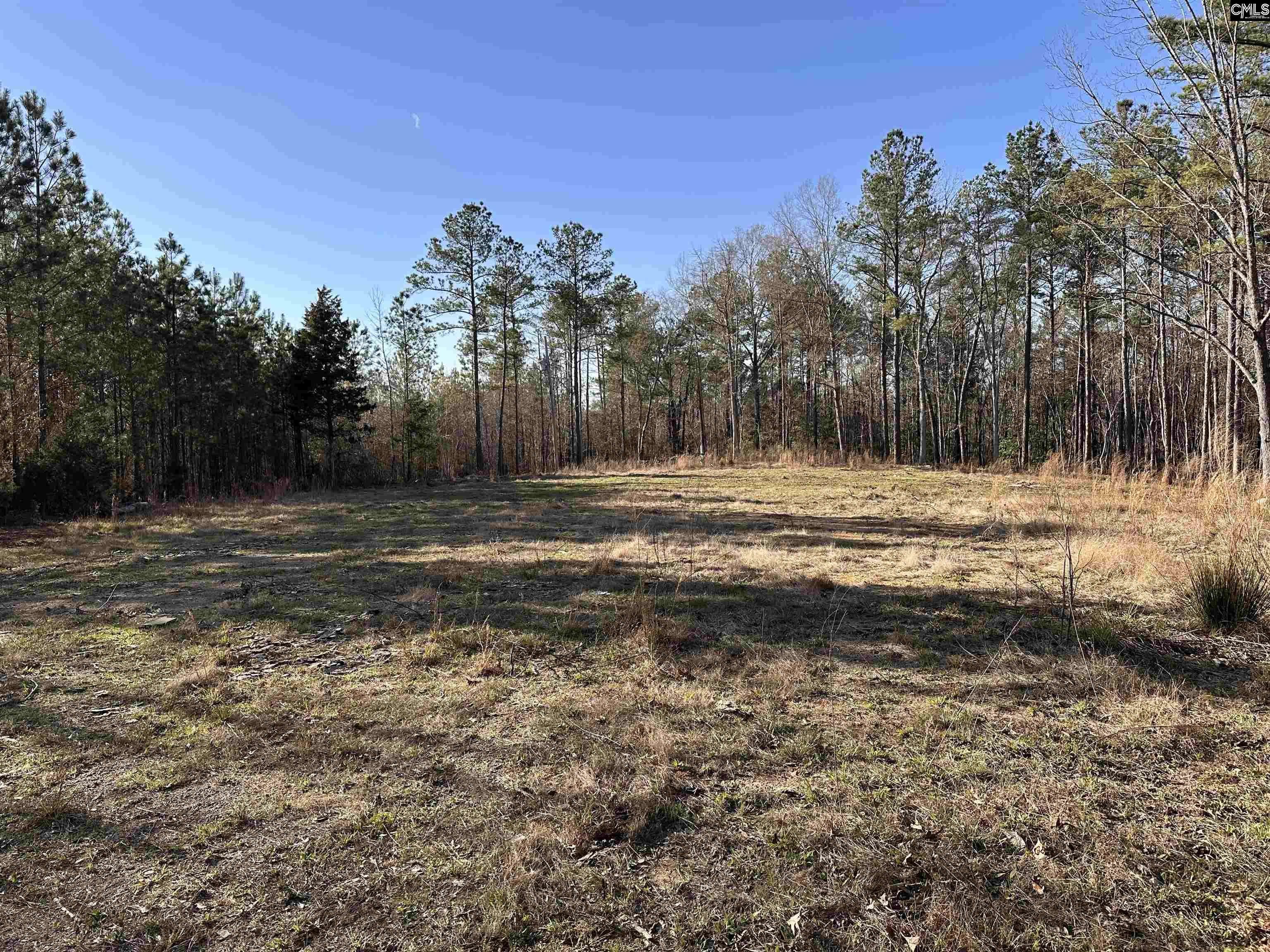 495 State Rd S-28-303 Ridgeway, SC 29130 - Photo 7 of 9