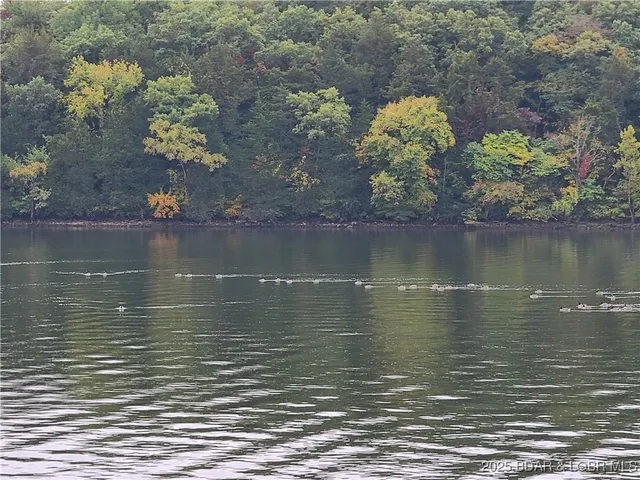 $925,000 | 135 Windy Cove, Roach, MO 65787