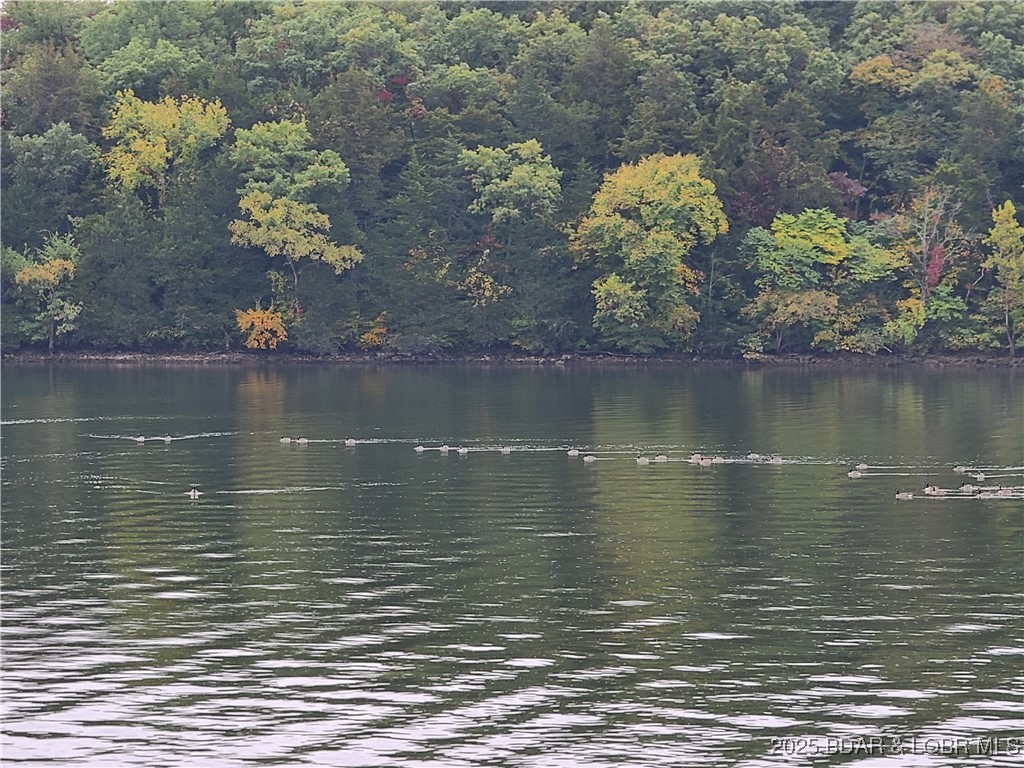 135 Windy Cove Roach, MO 65787 - Photo 35 of 37