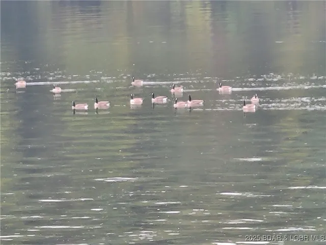 $925,000 | 135 Windy Cove, Roach, MO 65787